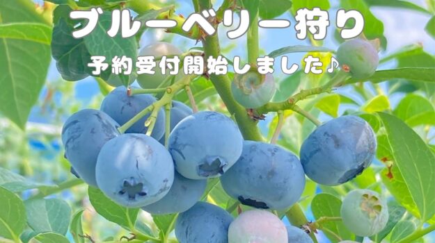 2025シーズンの予約受付を開始いたしました♪