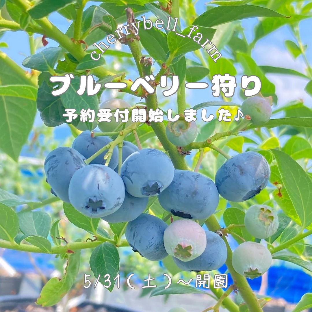 2025シーズンの予約受付を開始いたしました♪